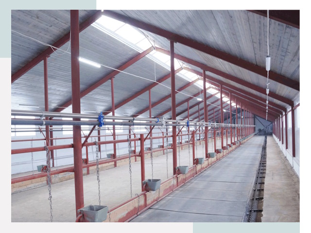 Строительство коровников в Алапаевске от 642 руб.