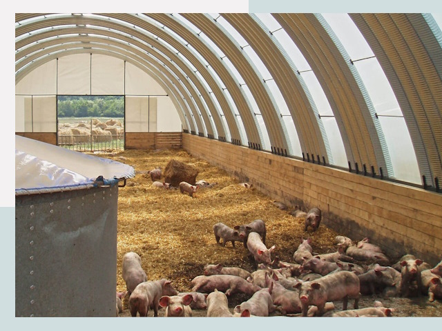 Строительство свинарников в Алапаевске